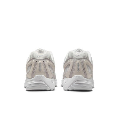 Nike Air Pegasus 2005 SE Platinum Tint/Metallic Platinum