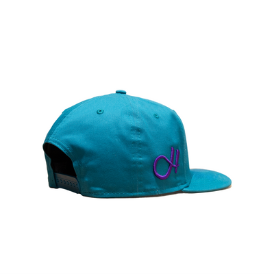 Hush NJ Snapback Turq/Purple