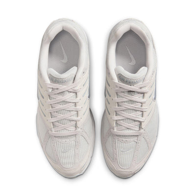 Nike Air Pegasus 2005 SE Platinum Tint/Metallic Platinum